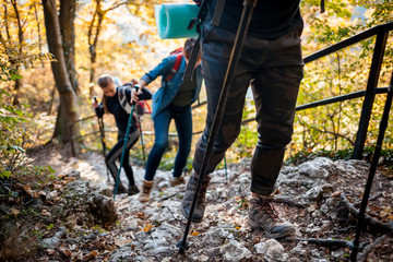 Wall Mural - travelers while trekking with backpacks climbs steep on forest trail