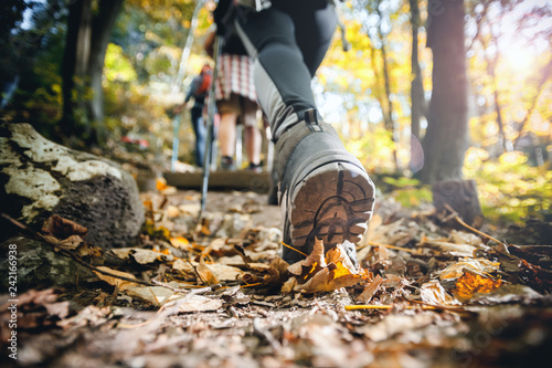 Hiker woman with trekking sticks climbs steep on mountain trail, focus on boot Tableau sur Toile