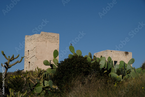 Photographie Prickly pear Opuntia cactus (ficus-indica) and Castle of San Michele in Cagliari