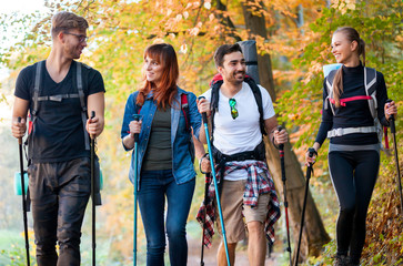 Wall Mural - group of hikers trekking in nature, walking through the woods