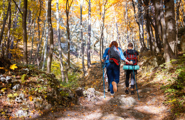 Wall Mural - group of hikers trekking in nature, walking through the woods