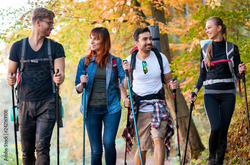 Fotografia Group of hikers trekking in nature, walking through the woods