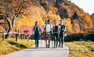Wall Mural - group of friends hiking through countryside together