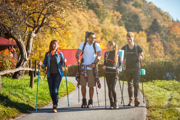 Wall Mural - group of friends hiking through countryside together