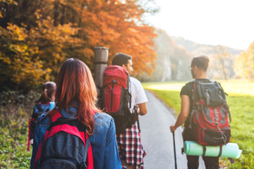 Wall Mural - friends with backpacks walking outdoor together, trekking and tourism