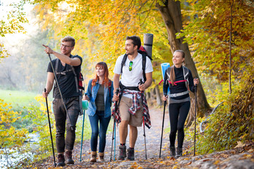 Wall Mural - riends with backpacks trekking in nature, walking through the woods