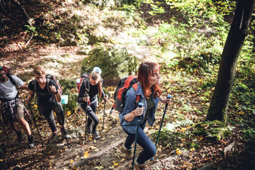 Wall Mural - friends trekking together in a forest