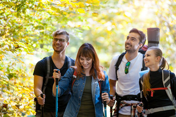 Wall Mural - authentic group of friends on tourist trip walking with backpacks and trekking sticks