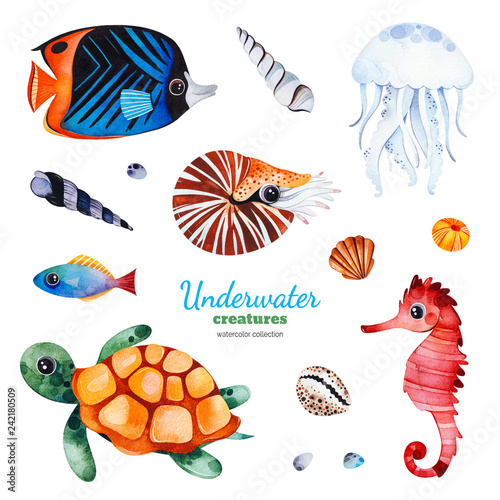 Underwater Creatures Watercolor Collection With Multicolored Coral