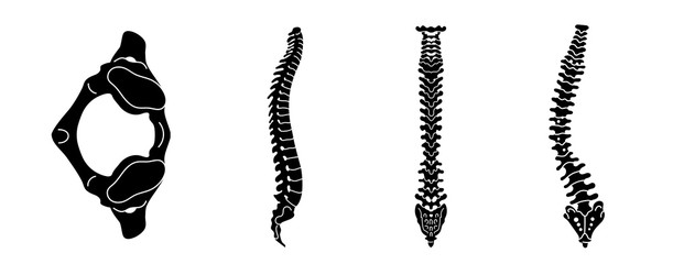 Spine icon set. Simple set of spine vector icons for web design on white background