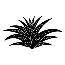 Aloe Plant Icon. Simple Illustration Of Aloe Plant Vector Icon For Web Design Isolated On White Background