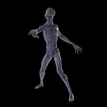 Illustration Of A Humanoid Alien