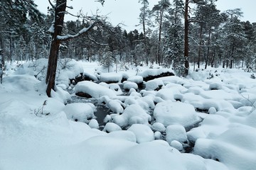 Wall Mural - Winter Snowy Landscape