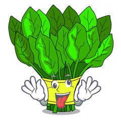 Poster - Crazy vegetables spinach isolated on the mascot