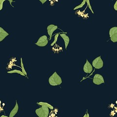 Poster - Natural seamless pattern with flowering linden sprigs hand drawn on black background. Backdrop with flowers and leaves of medicinal plant. Botanical vector illustration for fabric print, wallpaper.