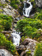 Waterfall in the mountains. Summer landscape. Wild nature