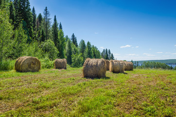 Wall Mural - beautiful summer landscape with sloping meadow, hay, forest and river with blue sky with clouds.
