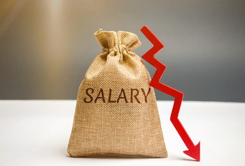 Wall Mural - Money bag with the word Salary and arrow to down. lower salary, wage rates. demotion, career decline. lowering the standard of living. wage cuts. decrease in profits and family budget