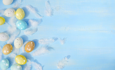 Poster - Colorful multicolored  blue, white, yellow easter eggs and white feathers on light blue wooden table. Easter background border for congratulations with copy space.