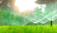 Automatic Lawn Sprinkler Watering Green Grass. Sprinkler With Automatic System. Garden Irrigation System Watering Lawn. Water Saving Or Water Conservation From Sprinkler System With Adjustable Head.