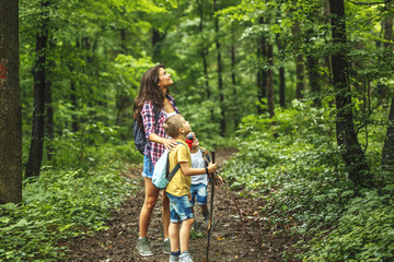 Wall Mural - mother and her little sons hiking trough forest.spring concept.