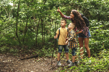 Wall Mural - mother and her little sons hiking trough forest .they learning about animal and plant life.