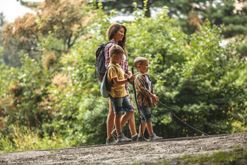 Wall Mural - Mother and her little sons hiking trough forest .Outdoor spring leisure concept.