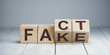 © Yeti Studio - Wooden blocks with letters forming words 'Fact' and 'Fake' on neutral background