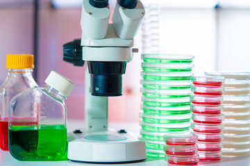 Poster - Petri dishes with samples food products and a microscope in the laboratory hygiene inspection