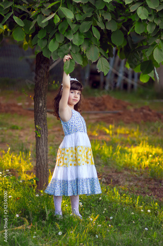 Fotografie, Obraz Adorable, curte, little girl in colorful dress standing in the garden, holding l