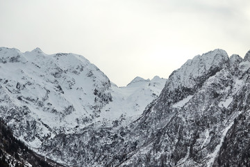 Wall Mural - Italian Alps mountains covered in snow