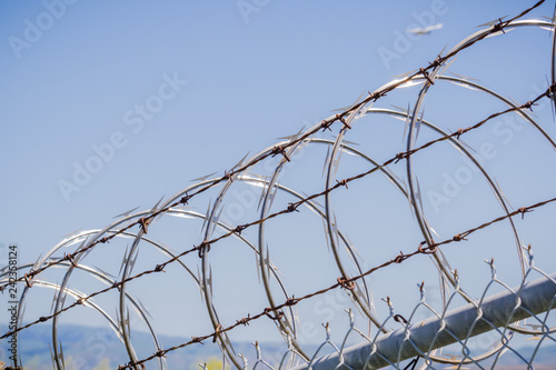 Fotografie, Obraz Razor barbed wire security fence, California