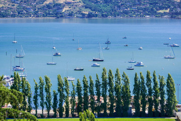 Wall Mural - Aerial view of the bay from the hills of Sausalito, San Francisco bay area, California