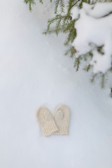 Wool mitten on the snow in winter forest