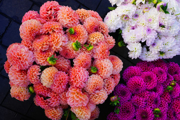 Wall Mural - Bright bunches of colorful pompom dahlia flowers at the market