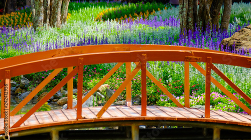 Flower garden, winter flower in Thailand, beautiful flower, straw flower. Tulip.