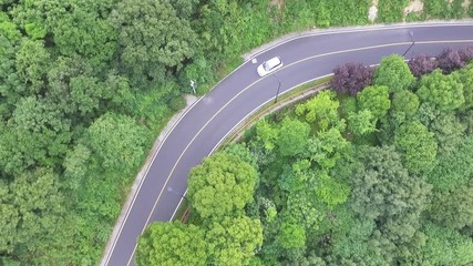 Canvas Print - Aerial view of the highway in the forest