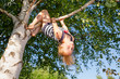 © Dmitry Naumov - Happy girl hanging from a tree in a summer park