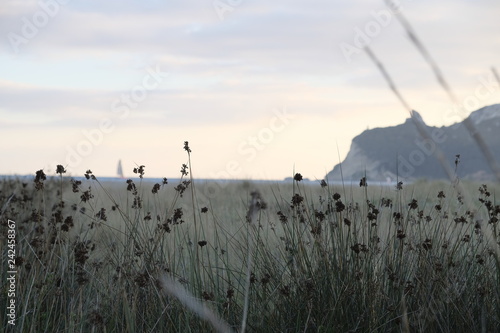 Fotografia, Obraz view of the Poetto beach at sunset - sella del diavolo calgiari