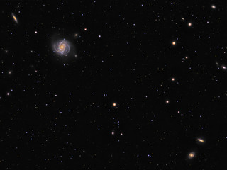 Wall Mural - spiral galaxy m100 (messier 100) with surrounding galaxies ngc 4312, ngc 4340, ngc 4350 in constella