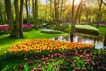 Keukenhof Flower Garden. Lisse, The Netherlands.