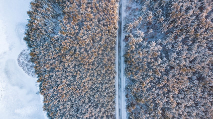 Wall Mural - Winter woodland at sunny day from above