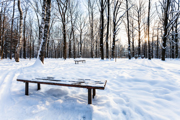 Sticker - view of snow-covered bench in urban park in winter