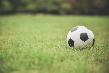  soccer football on green grass