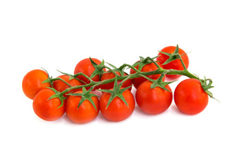 Wall Mural - Small red tomato on an isolated background.