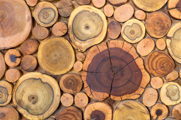 Sticker - Round wooden unpainted solid natural ecological soft colored brown and yellow stumps background, Tree cut sections different sizes for pad mat background texture. Do It Yourself art concept.