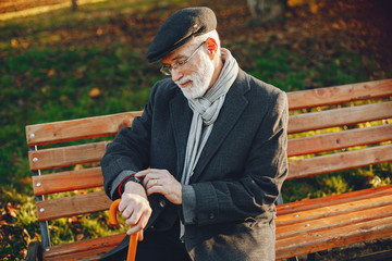 Elegant old man in a sunny autumn park 