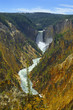 Grand Canyon of the Yelowstone National Park, Yellowstone National Park is UNESCO World Heritage Site