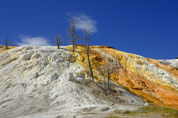 Travertine terrace in the Yellowstone National Park, USA, UNESCO World Heritage Site