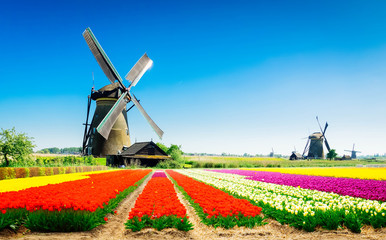 Wall Mural - dutch windmill over river waters